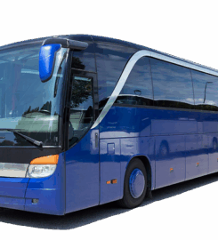 National Travels – Travel agency in Seoni,