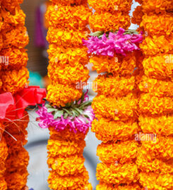Flower Shop | Fool Mala jai mala wala